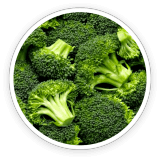 fast lean pro ingredients